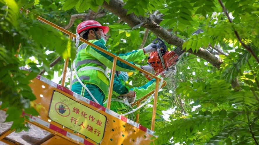 房地产绿化工程施工队